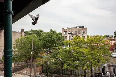 Rented by Garden Management