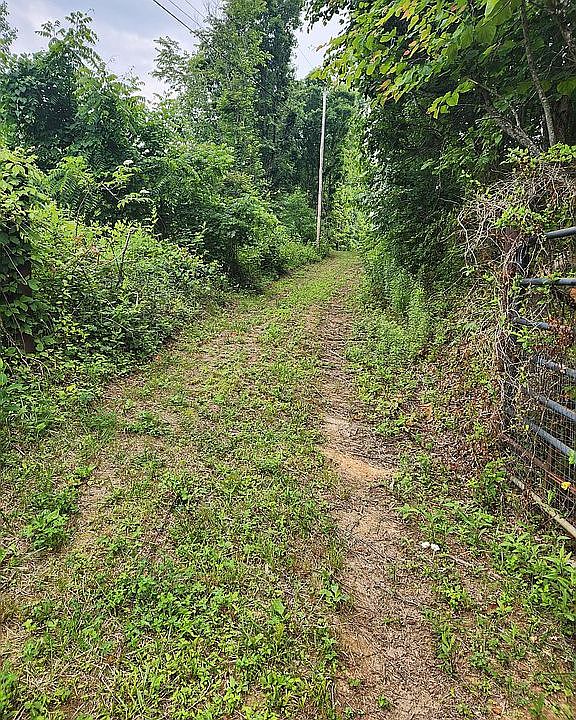 2071 Hickory Cove Rd 3787, Surgoinsville, TN 37873 Zillow