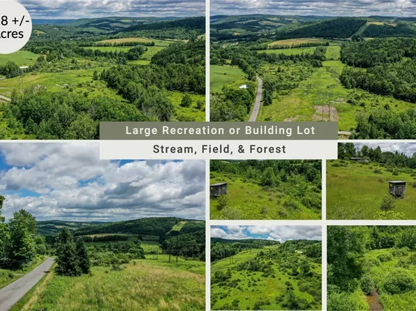 4990 Parker Hollow Rd, Unadilla, NY 13849