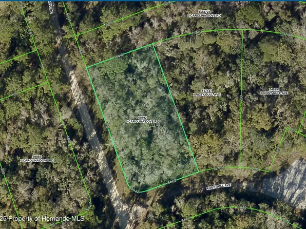 LOT 1 Carolina Dove Rd, Brooksville, FL 34614
