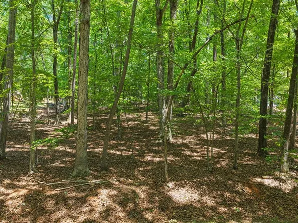 225 Oak Run Run, Clarksville, VA 23927