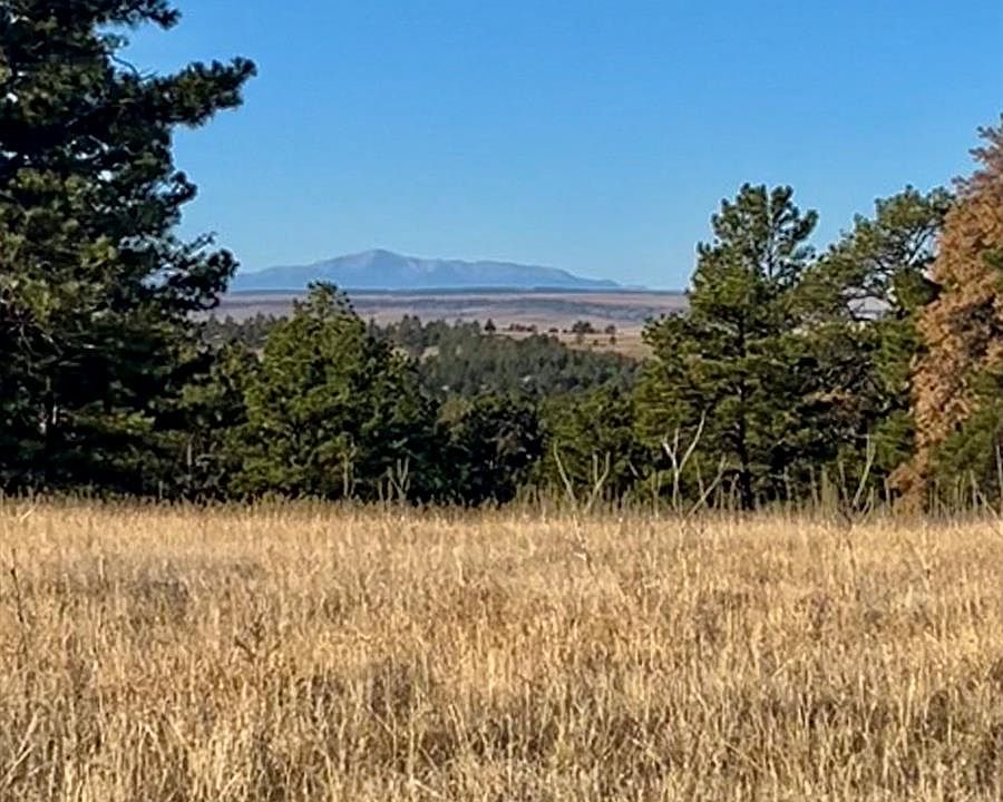 40909 Topaz Drive Lot 2, Deer Trail, CO 80105 Zillow