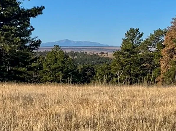 40909 Topaz Drive LOT 2, Deer Trail, CO 80105