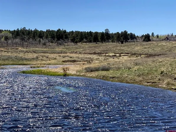 Lot 13 62X Road, Placerville, CO 81430