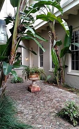 3rd image of 1033 Josephine St #C