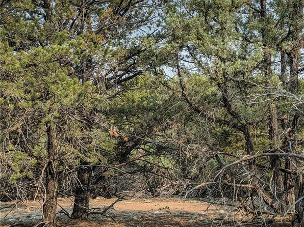1704 Willow Creek Way, Crestone, CO 81131