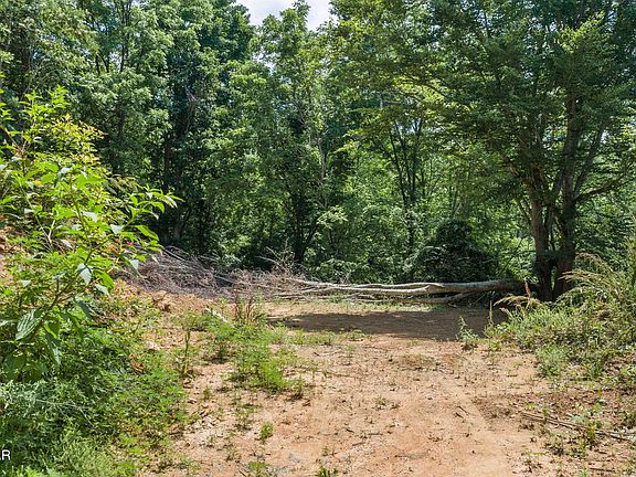 5th image of 520 Verless Ogle Rd Lot 1