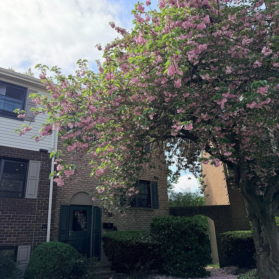 4 bed, 2.5 bath, 1850 sqft, $2,800 — Photo 2