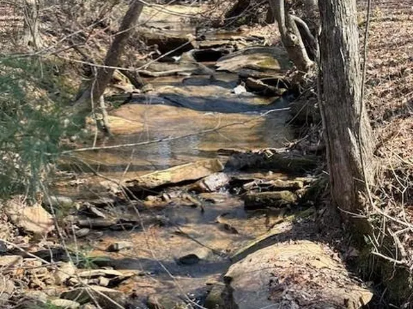 0 Timberline Trl #339, Talking Rock, GA 30175