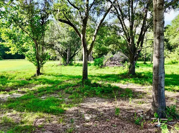 185 Cb Barnes Rd, Cottonwood, AL 36320
