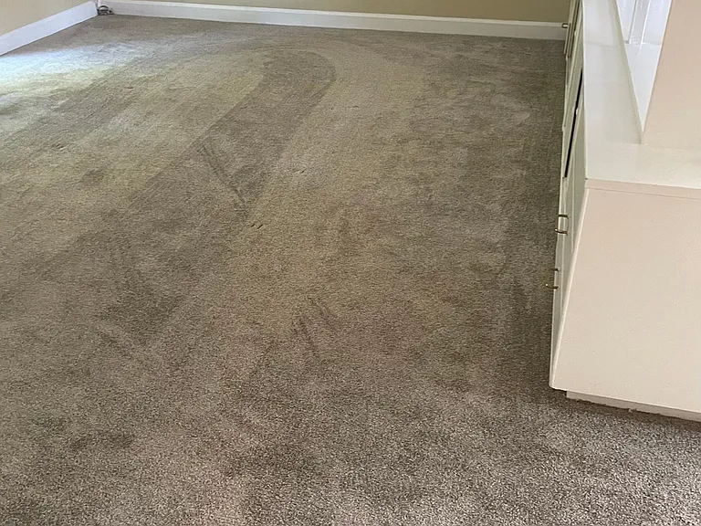 1040 Warbler Pl #MC — Photo 16