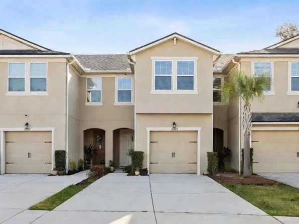 14205 Damselfly Dr, Tampa, FL 33625