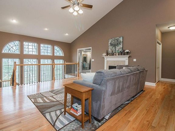 amaryllis living room window view