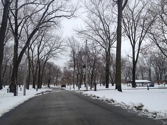 Winter view of nearby park