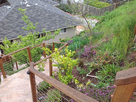 Landscaped backyard - 2