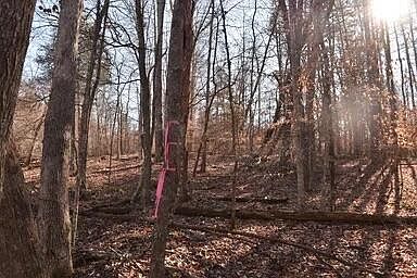 3rd image of 39 SW Omega Park Rd