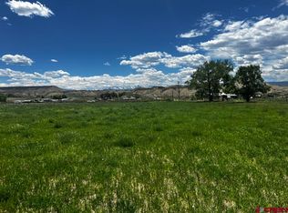 Tbd Racine Rd, Montrose, CO 81401