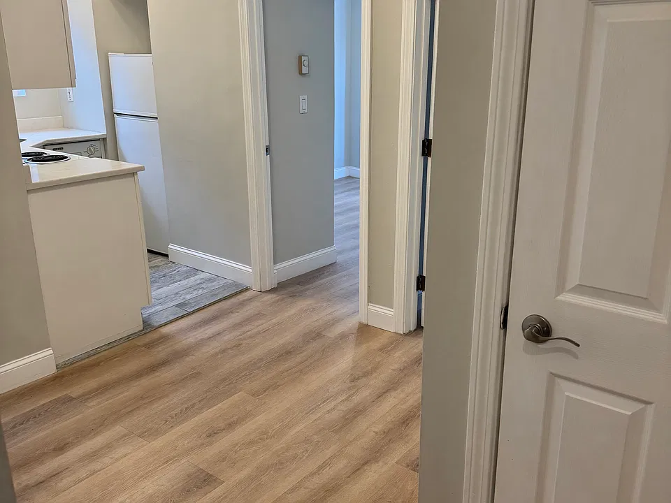 111 Norway St #202