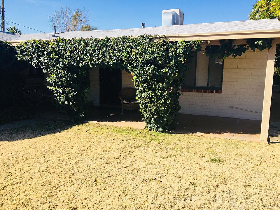 Grass and Ivy