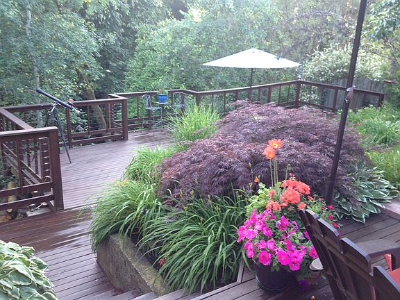 Backyard tiered decking