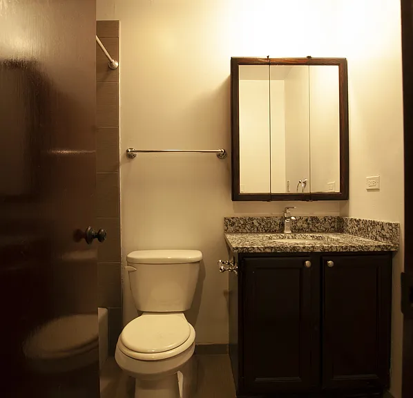 959 W Armitage Ave #2A — Photo 9