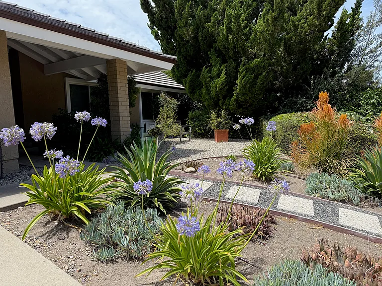 2944 Salmon River Cir — Photo 2