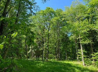 1.16 Mud Brook Rd #16, Constableville, NY 13325