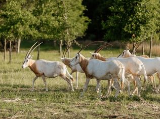 2 Majestic Hills Dr, Blanco, TX 78606