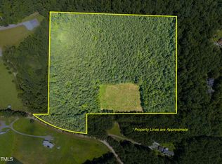 1096 Kadir Womble Dr, New Hill, NC 27562