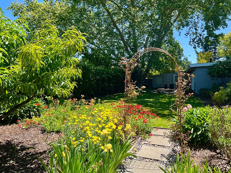 View from Vegetable Garden to backyard