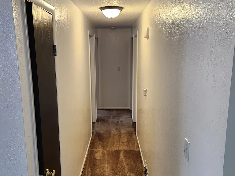1007 Village Dr — Photo 10