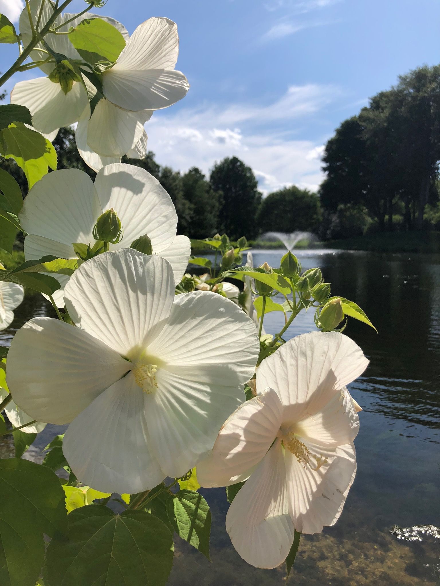 266 & 300 Sagaponack Rd, Bridgehampton, NY 11932 Out East