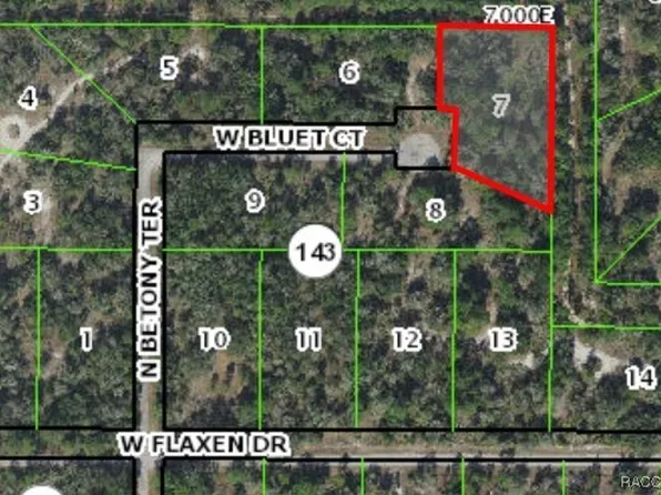 12141 W Bluet Ct, Crystal River, FL 34428