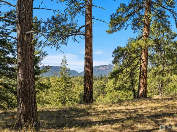 36 Wanawish Loop, Cle Elum, WA 98922