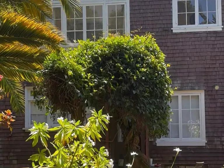 2615 Parker St — Photo 3