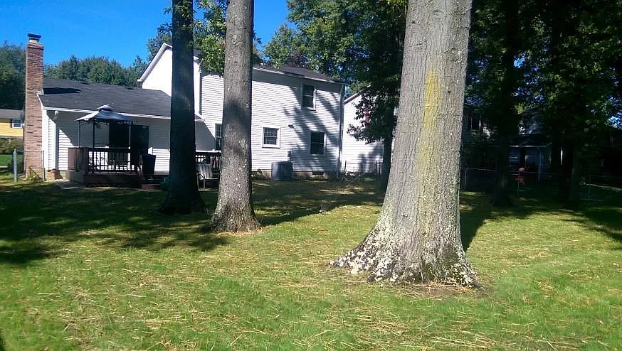 3 bed, 2.5 bath, 1818 sqft, $2,500 — Photo 3