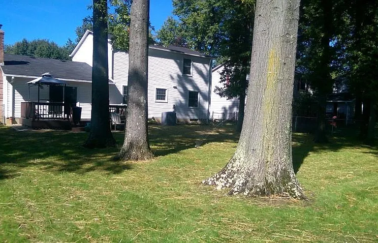 4153 Lydgate Dr — Photo 3