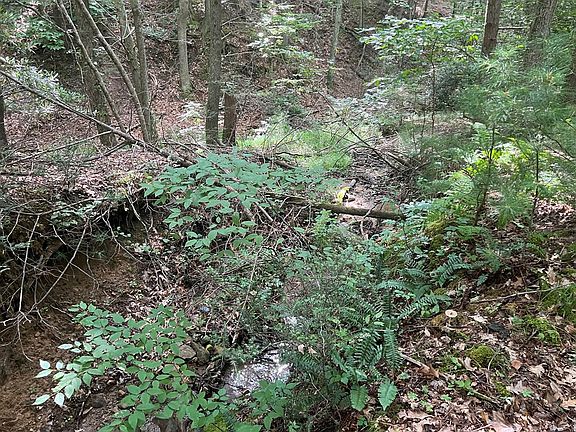4th image of Hunters Ln