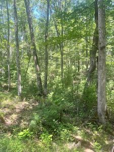 237 Sunshine Ln, White Oak, WV, 25989