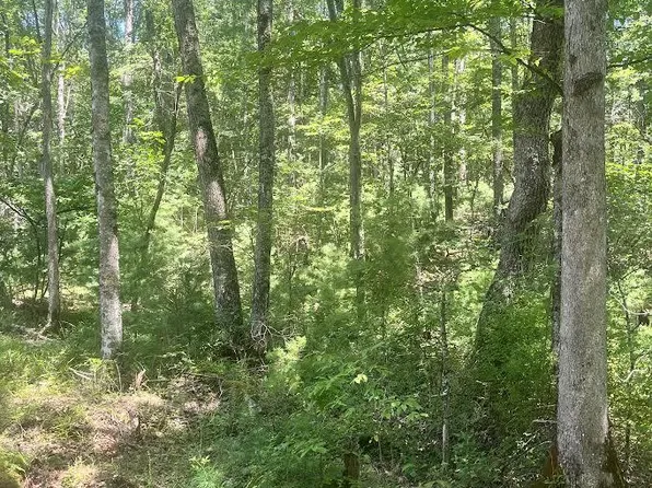 237 Sunshine Ln, White Oak, WV 25989