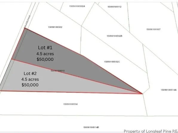 Philadelphus Rd, Pembroke, NC 28372