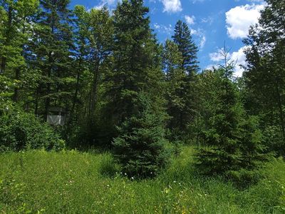 Tbd State Highway 1, Effie, MN, 56639