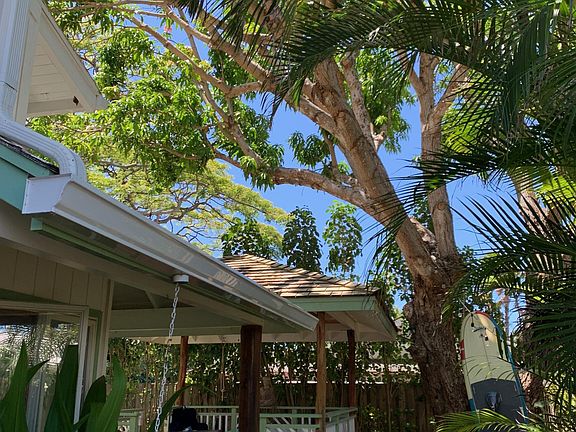 Backyard with mango tree and gazebo