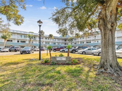 2381 Ecuadorian Way APT 33, Clearwater, FL, 33763