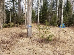 Tbd 5th St SW, Grand Rapids, MN 55744