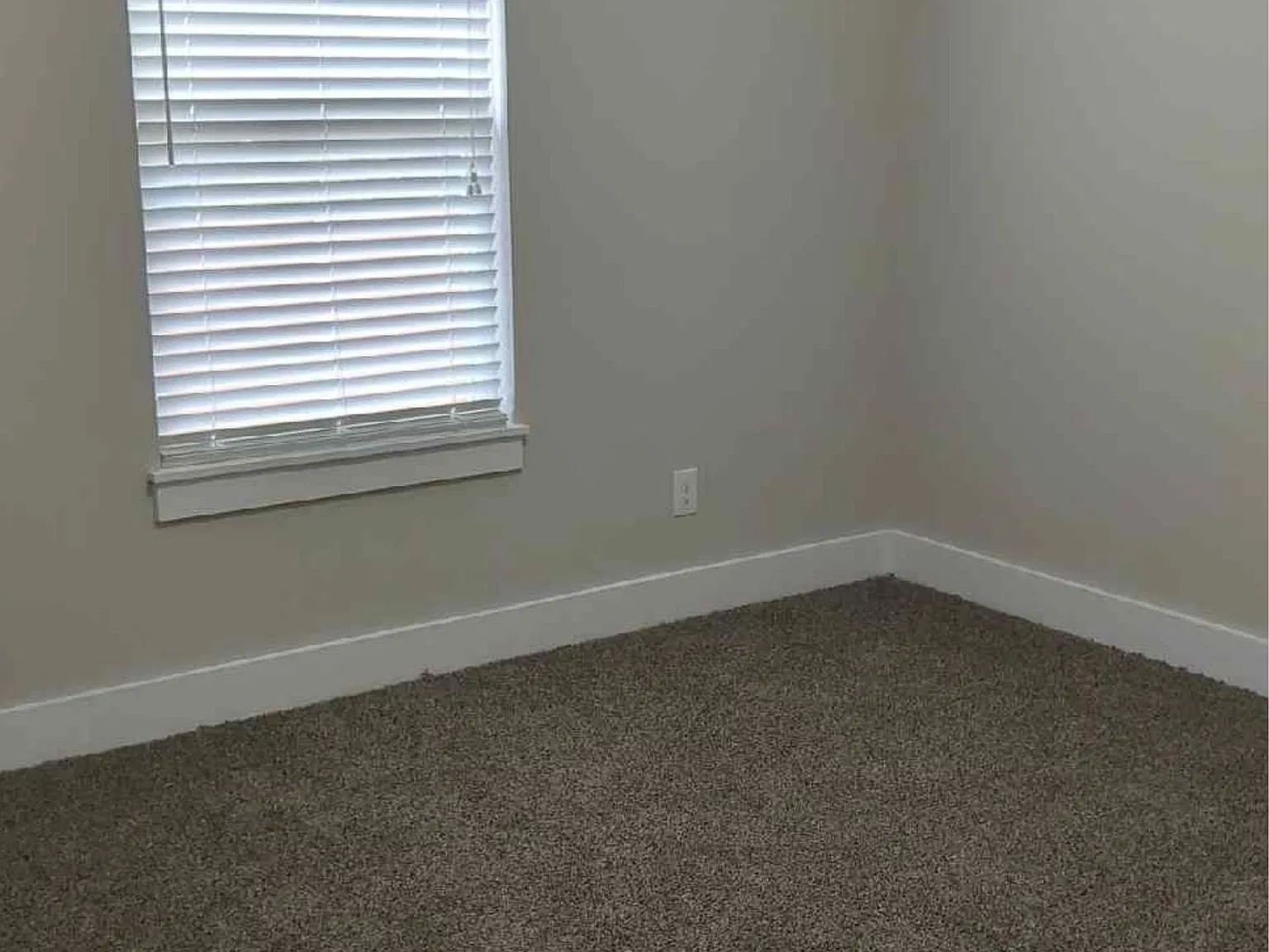 3536 Steffisburg Dr - 1 — Photo 4