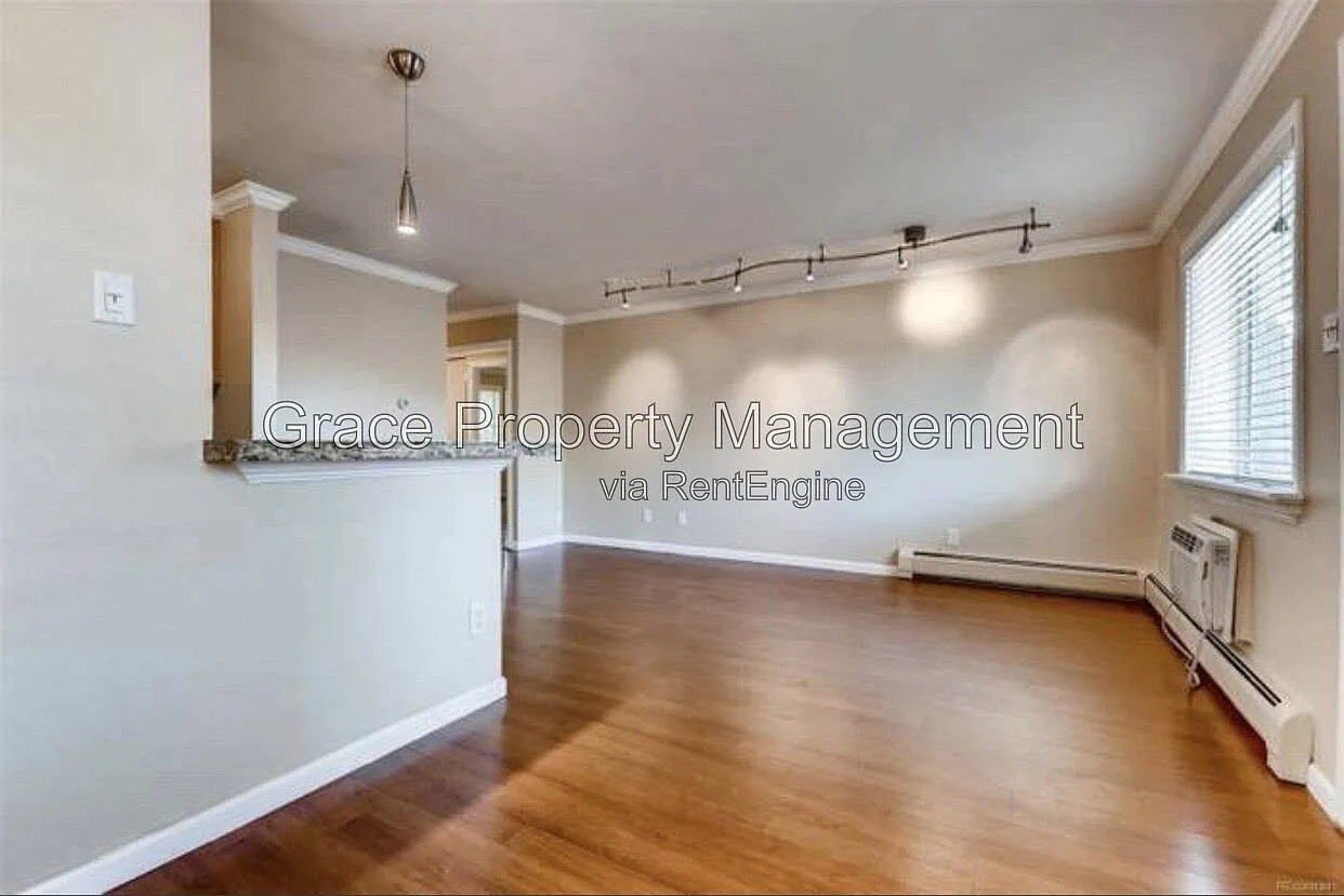 1 bed, 1.0 bath, 555 sqft, $1,295 — Photo 4