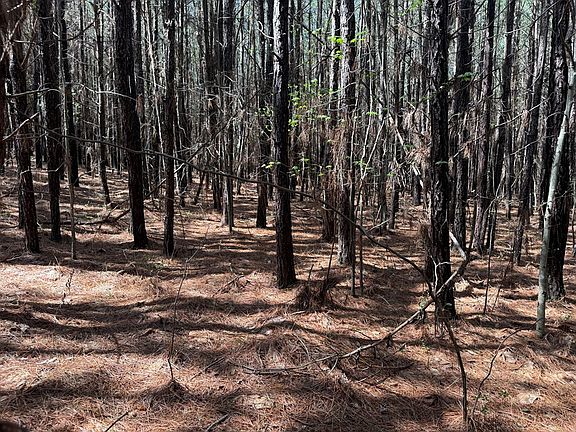 4th image of 1738 Miller Camp Rd