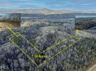 5715 Oscar Gilstrap Rd, Clermont, GA 30527