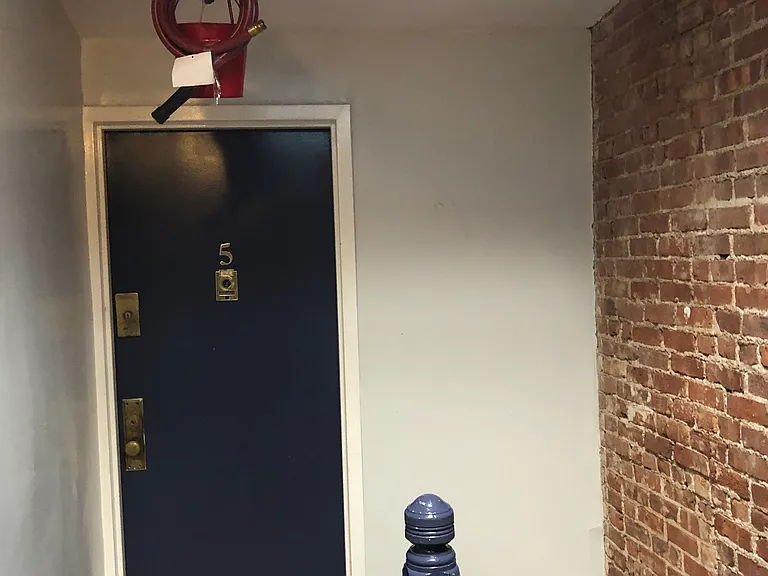 447 W 22nd St #5 — Photo 9